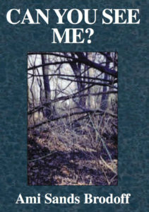can_you_see_me_book_cover