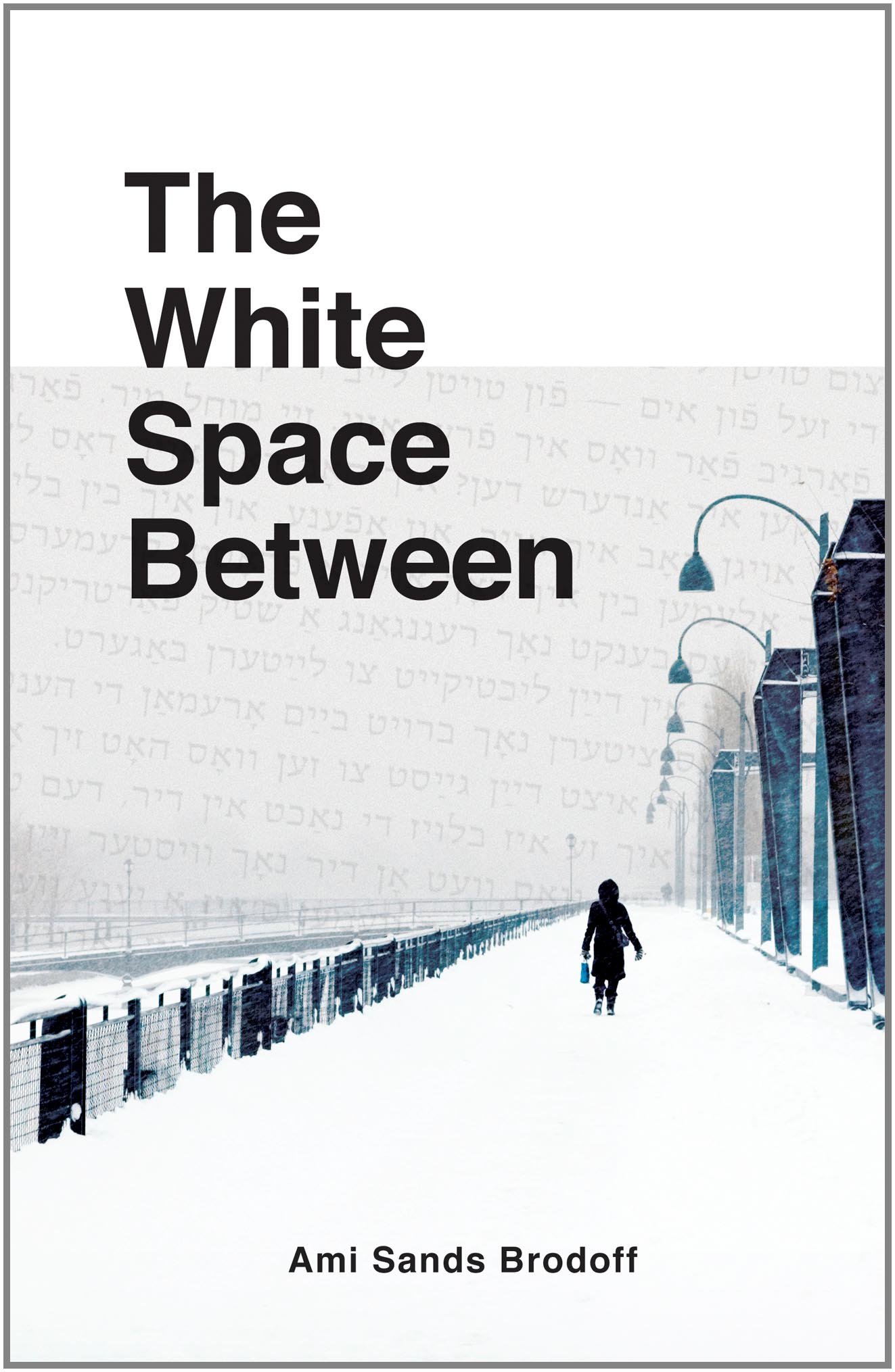 the_white_space_between_book_cover